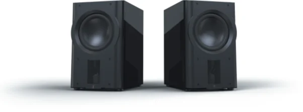 Perlisten Audio D212s
