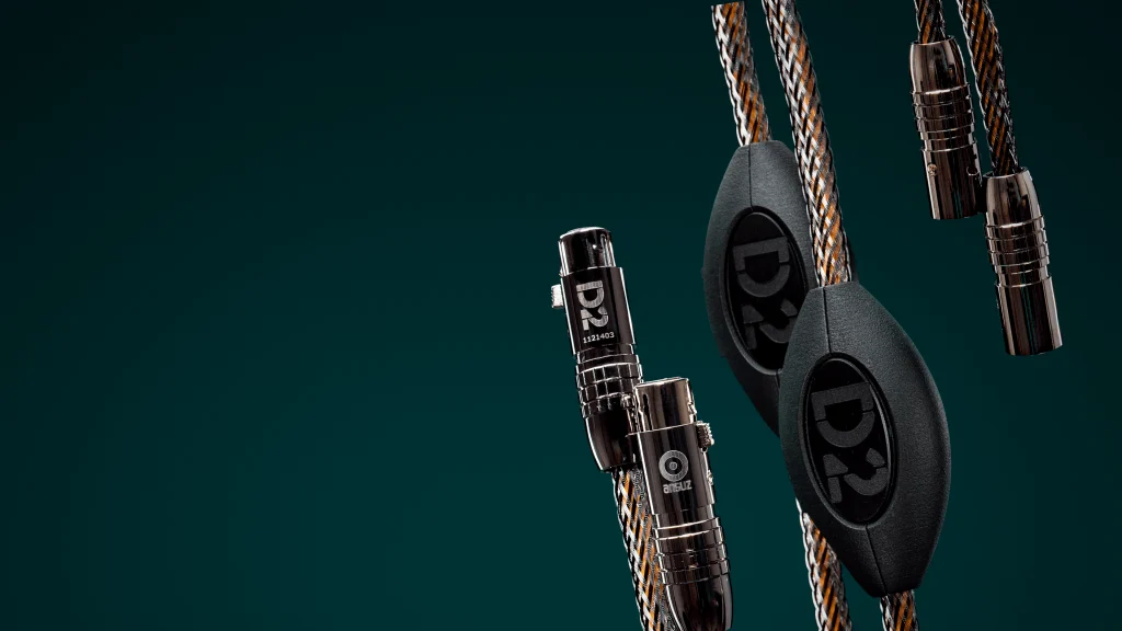 Ansuz Acoustics Signalz D2