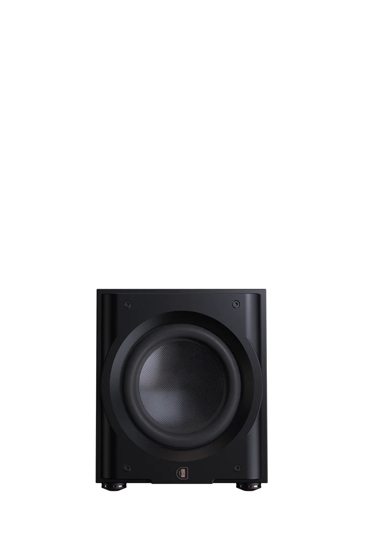 Perlisten Audio R10S