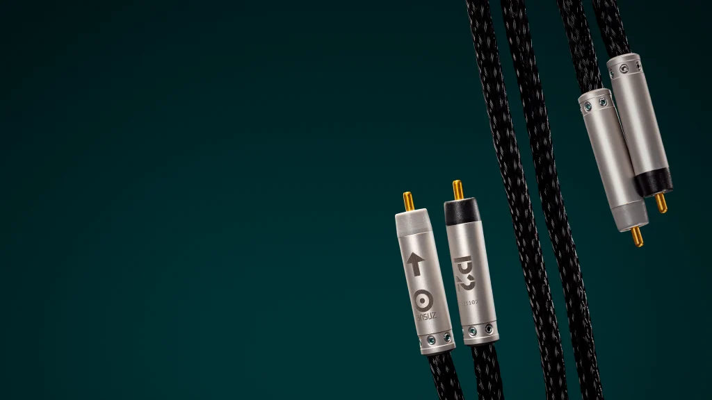 Ansuz Acoustics Signalz P2