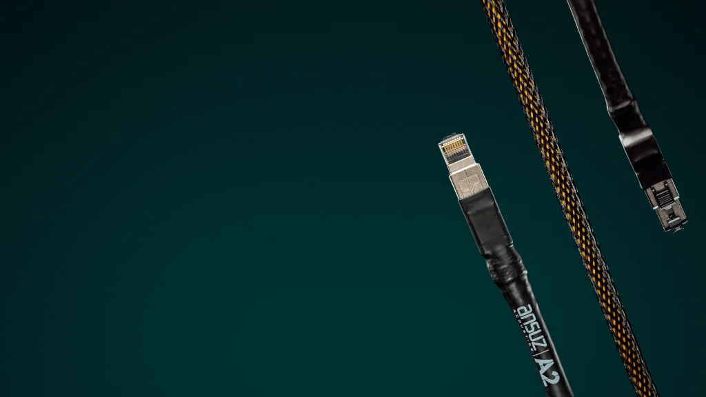 Ansuz Acoustics Digitalz A2