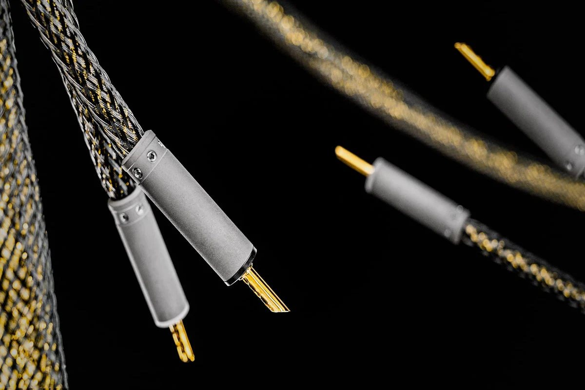 Ansuz Acoustics Speakz D-TC Gold Signature