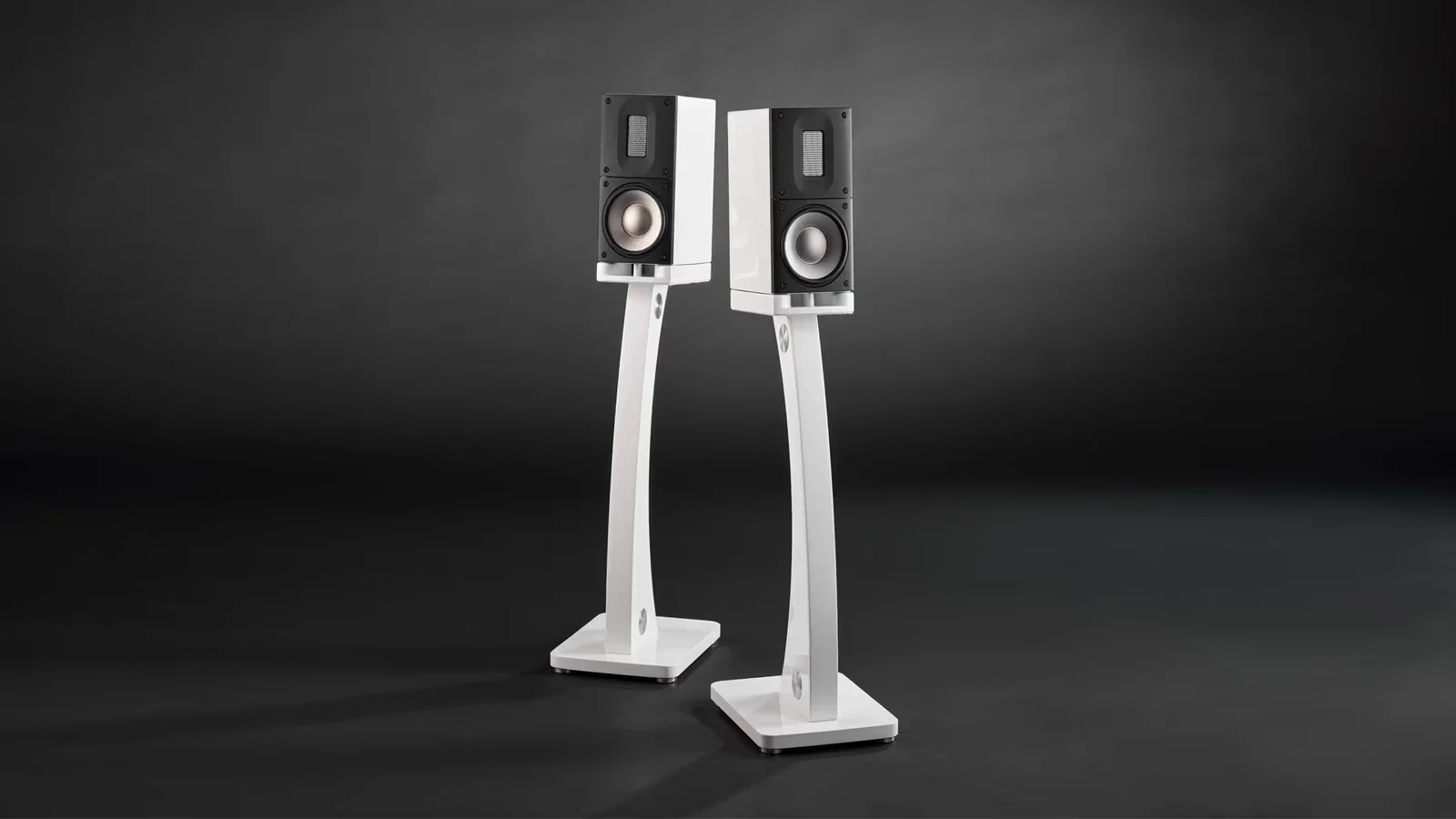 Raidho Acoustics X1t