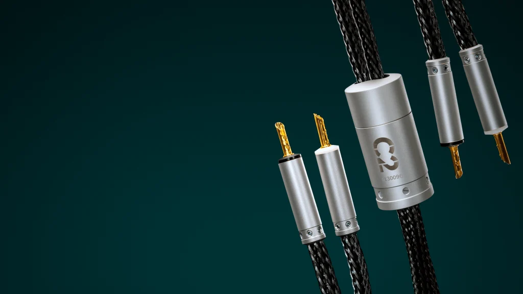 Ansuz Acoustics Speakz C2