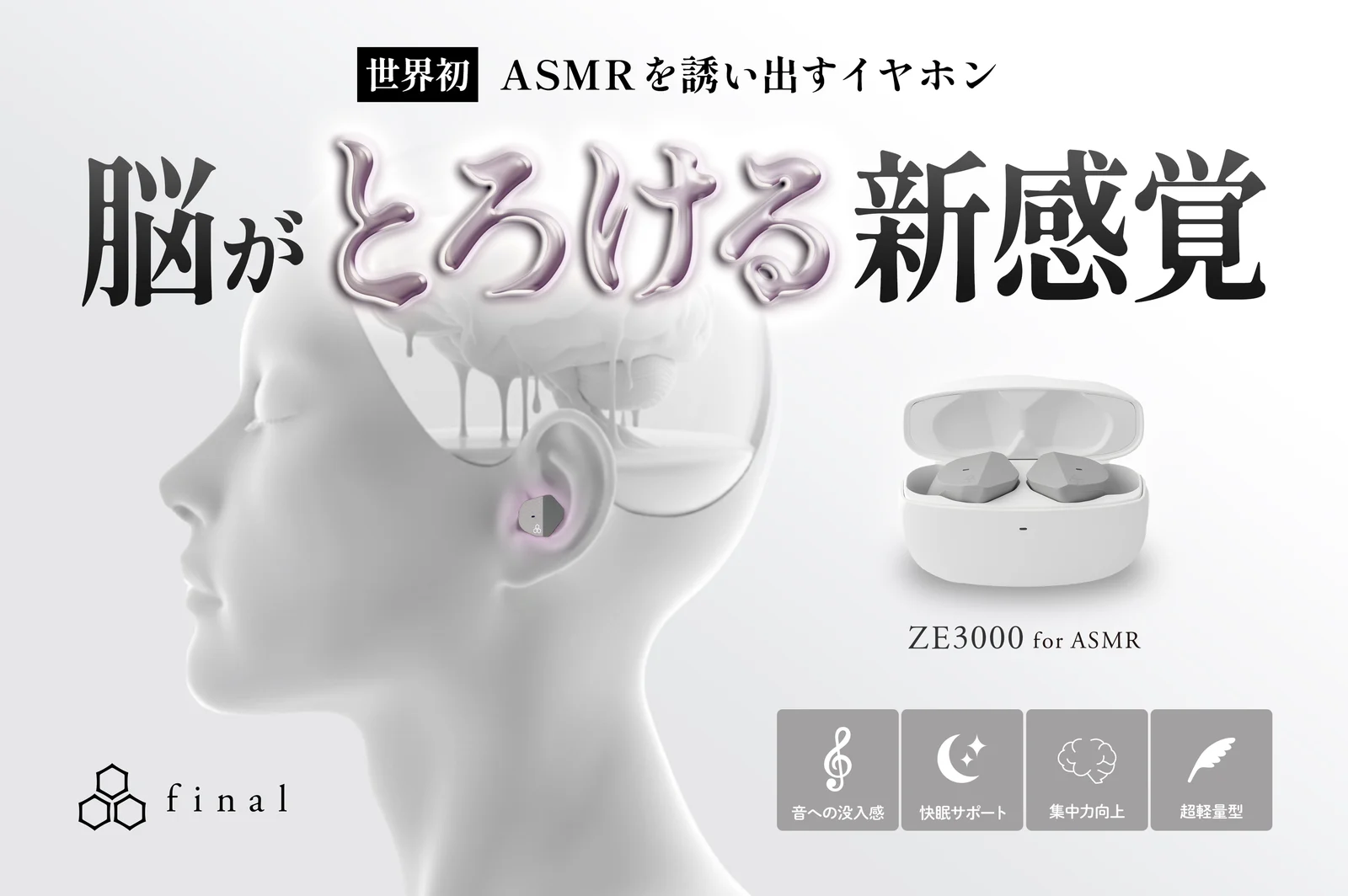 Final Audio ZE3000 For Asmr Support