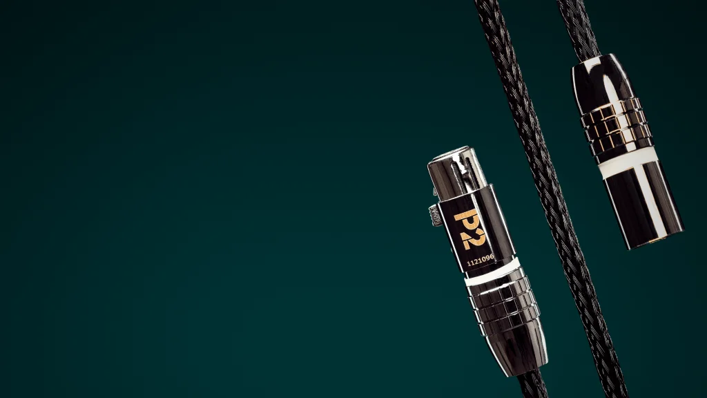 Ansuz Acoustics Digitalz P2