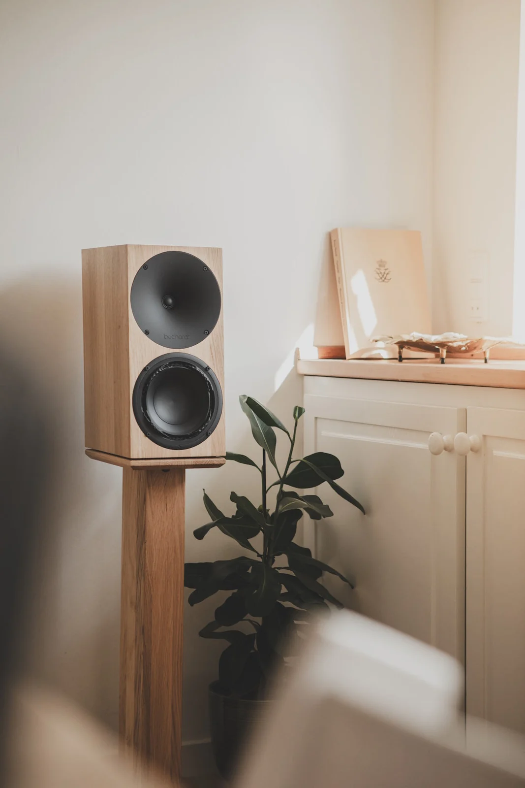 Buchardt Audio Anniversary 10 (A10)