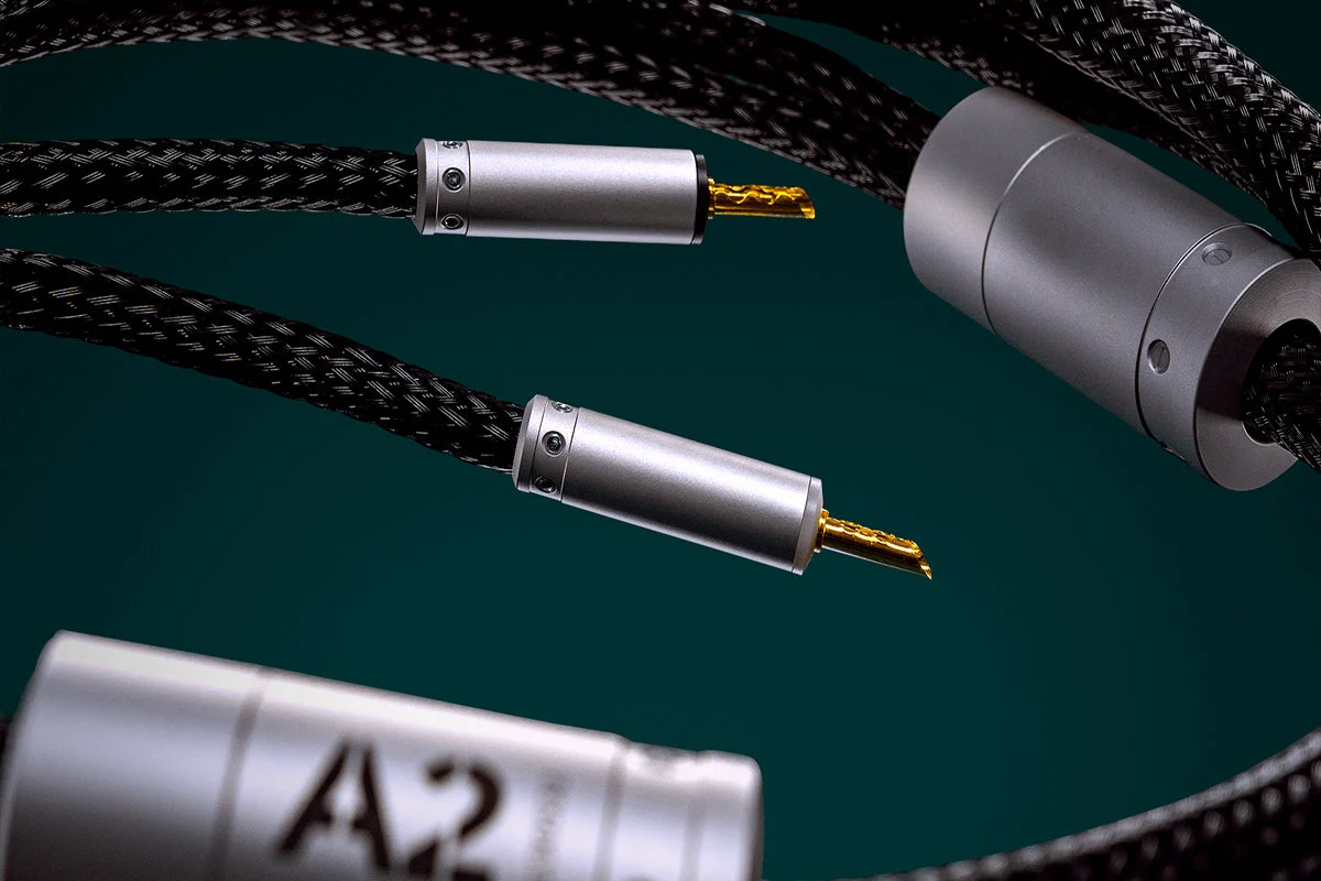 Ansuz Acoustics Speakz A2