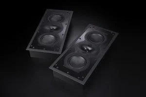 Perlisten Audio R5I Lr
