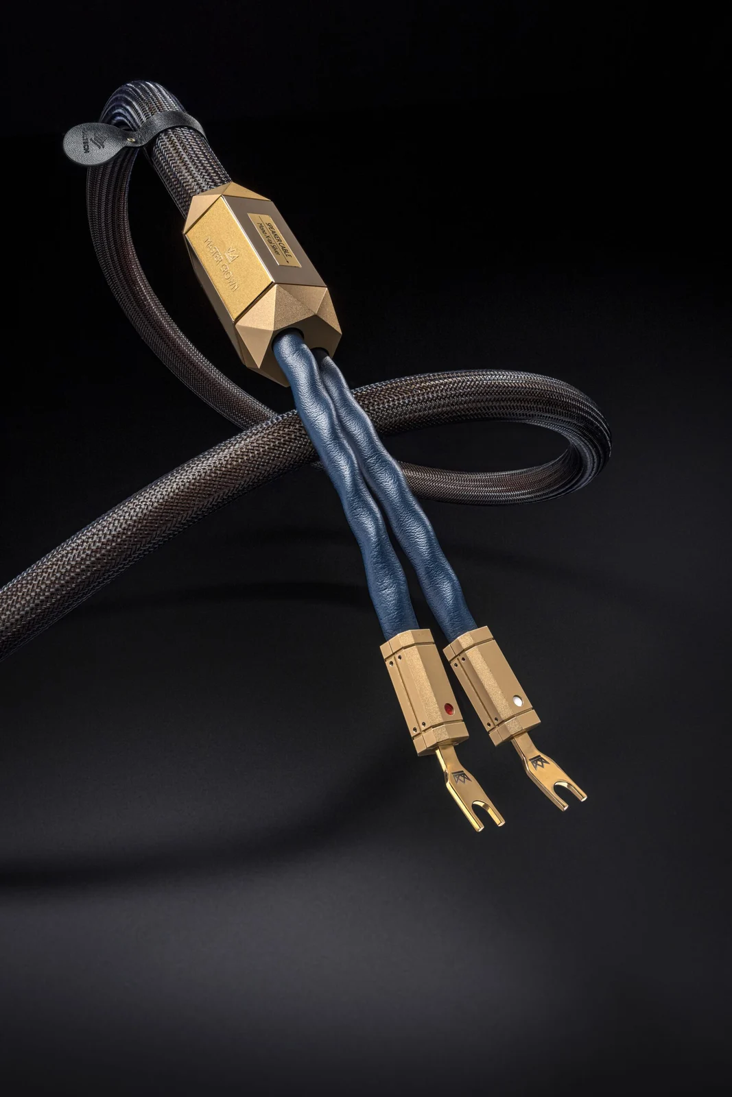 Siltech Master Crown Speaker Cable