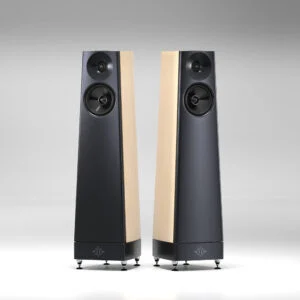 YG Acoustics Talus