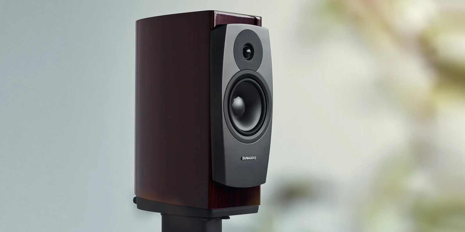 Dynaudio Confidence 20