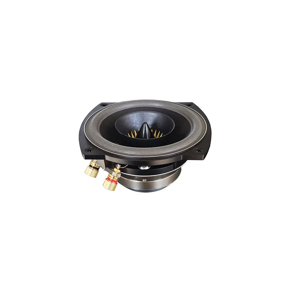 Voxativ AF-2B Fullrange Drive Unit